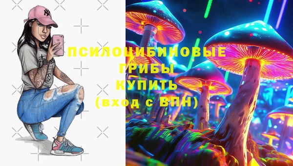 прущие крисы Балахна