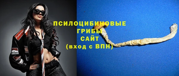прущие крисы Балахна