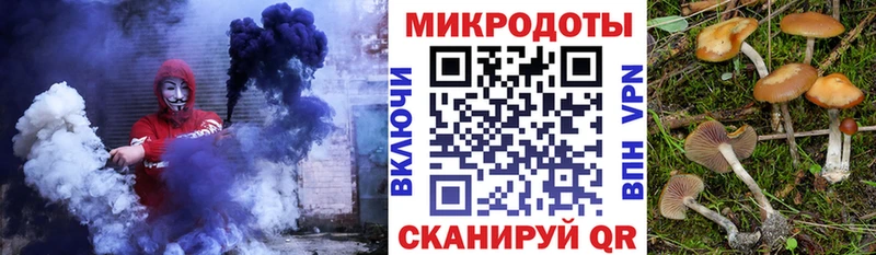 цены наркотик  Тара  Галлюциногенные грибы Cubensis 